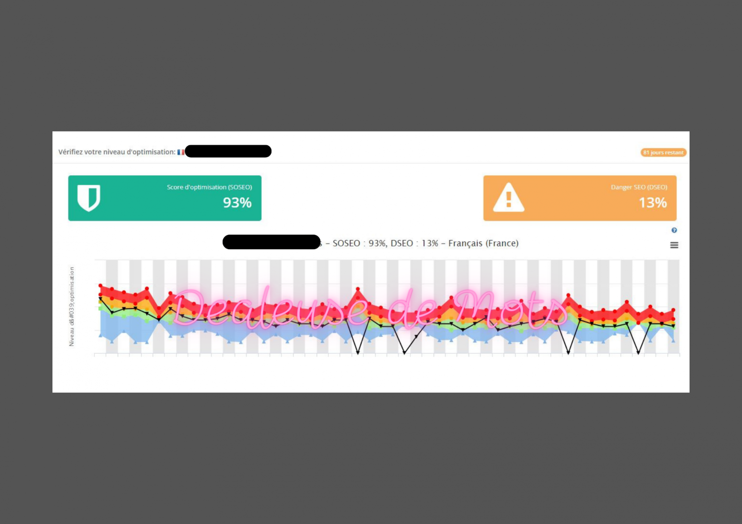 Résultat d’optimisation SEO dans le domaine du coaching sportif